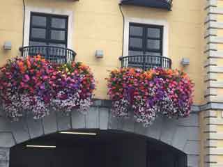window boxes of flowers